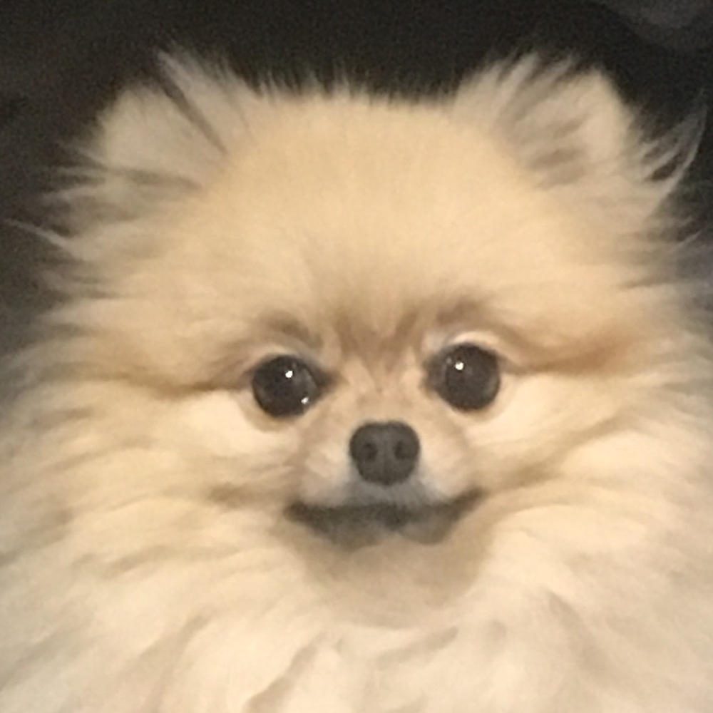 Meet your Posher, Hillary